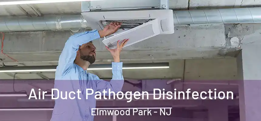 Air Duct Pathogen Disinfection Elmwood Park - NJ