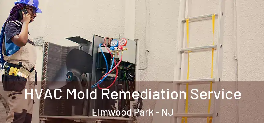 HVAC Mold Remediation Service Elmwood Park - NJ