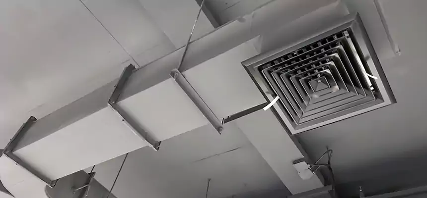 Restorative Allergy Relief Vent Cleaning – Coil, Blower & Housing Detail in Elmwood Park