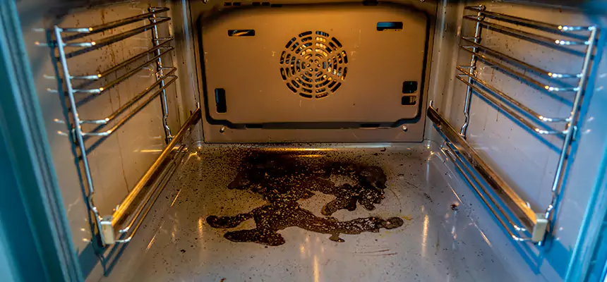 Our Dryer Vent Mold Cleaning Services in Elmwood Park, NJ