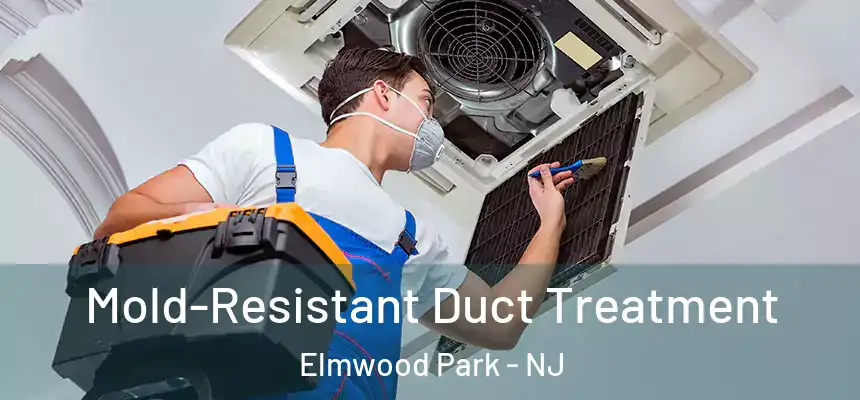  Mold-Resistant Duct Treatment Elmwood Park - NJ