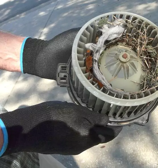 About Air Duct Mice Removal in Elmwood Park, NJ